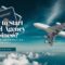 Travel Agency Business 2025